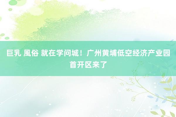 巨乳 風俗 就在学问城！广州黄埔低空经济产业园首开区来了