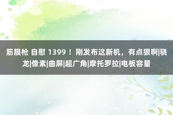 筋膜枪 自慰 1399 ！刚发布这新机，有点狠啊|骁龙|像素|曲屏|超广角|摩托罗拉|电板容量
