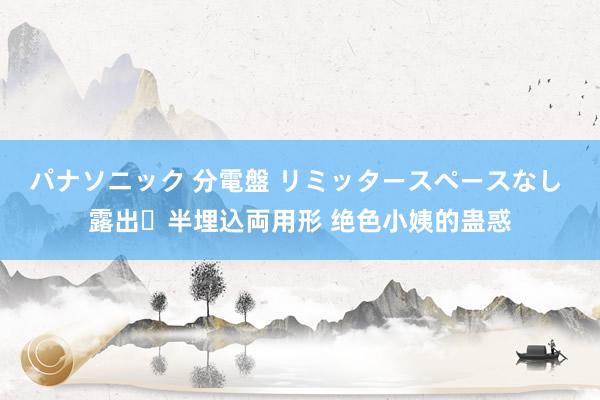パナソニック 分電盤 リミッタースペースなし 露出・半埋込両用形 绝色小姨的蛊惑