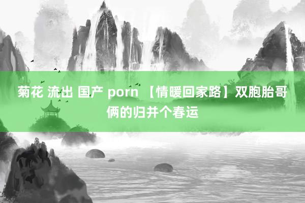 菊花 流出 国产 porn 【情暖回家路】双胞胎哥俩的归并个春运