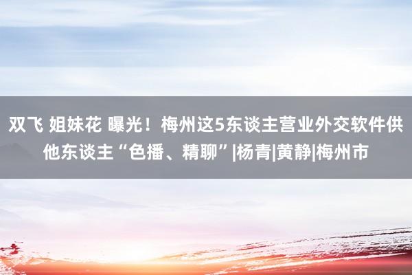 双飞 姐妹花 曝光！梅州这5东谈主营业外交软件供他东谈主“色播、精聊”|杨青|黄静|梅州市