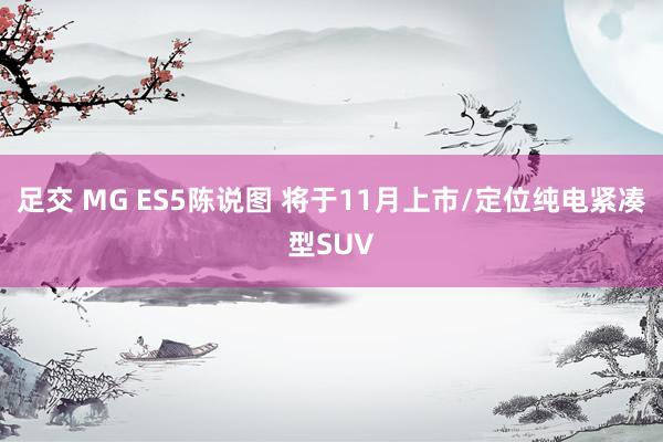 足交 MG ES5陈说图 将于11月上市/定位纯电紧凑型SUV