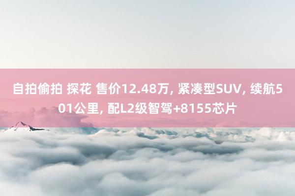 自拍偷拍 探花 售价12.48万， 紧凑型SUV， 续航501公里， 配L2级智驾+8155芯片