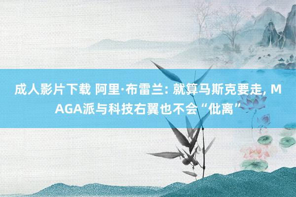 成人影片下载 阿里·布雷兰: 就算马斯克要走， MAGA派与科技右翼也不会“仳离”