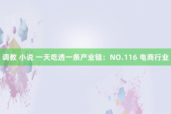 调教 小说 一天吃透一条产业链：NO.116 电商行业
